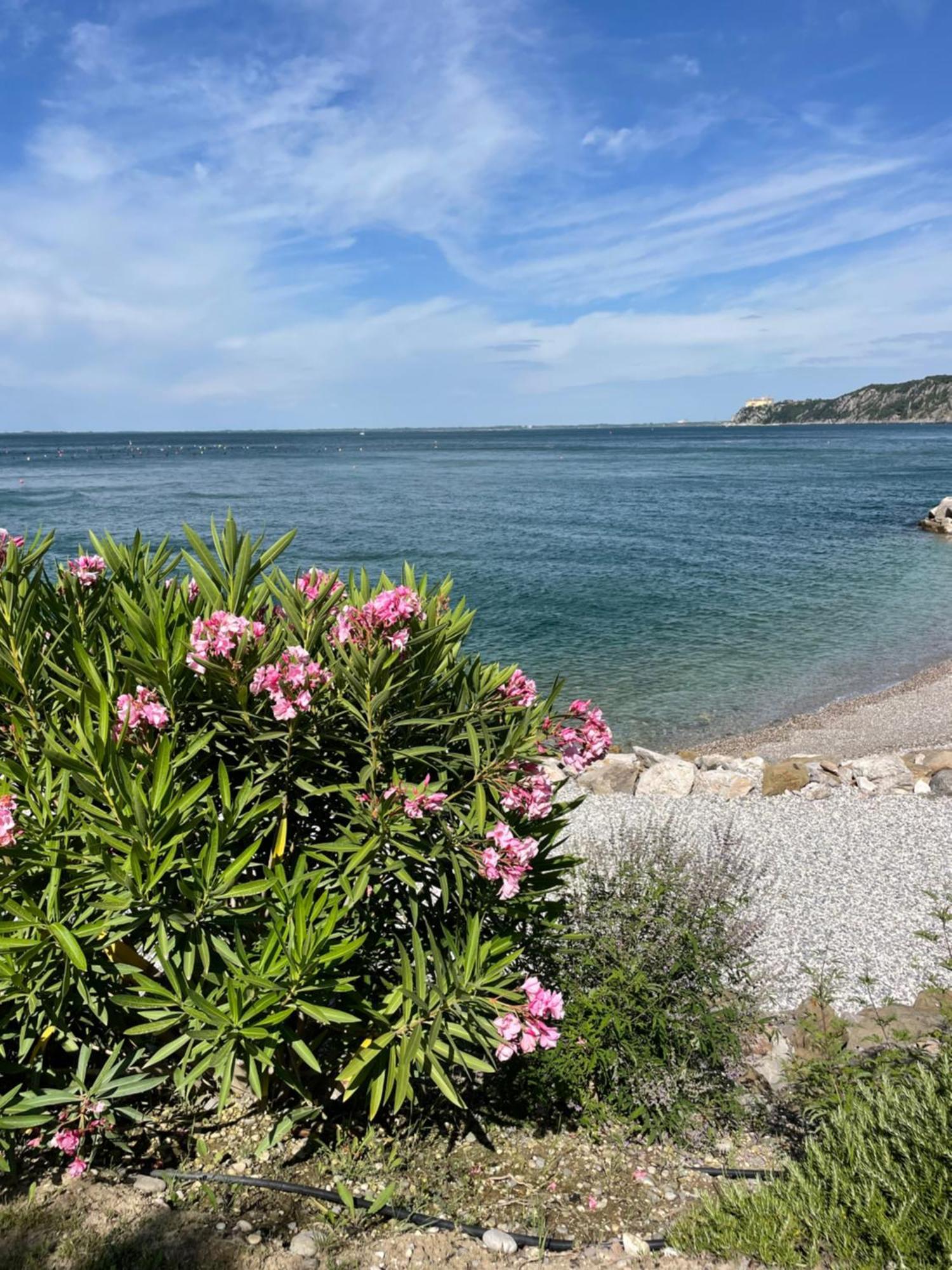 Portopiccolo Sul Mare - Sistiana Lägenhet Exteriör bild